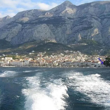 Niko マカルスカ