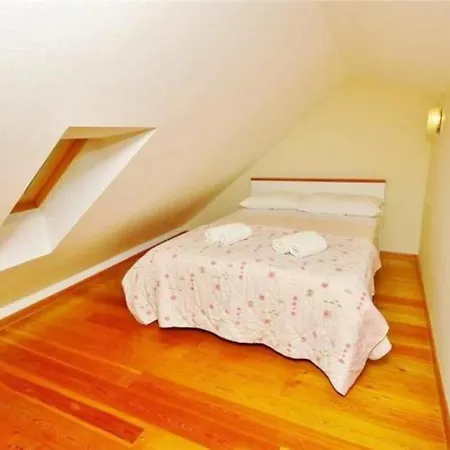 Niko マカルスカ