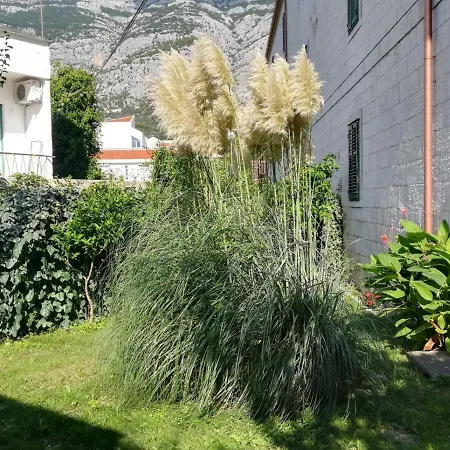 Niko Makarska